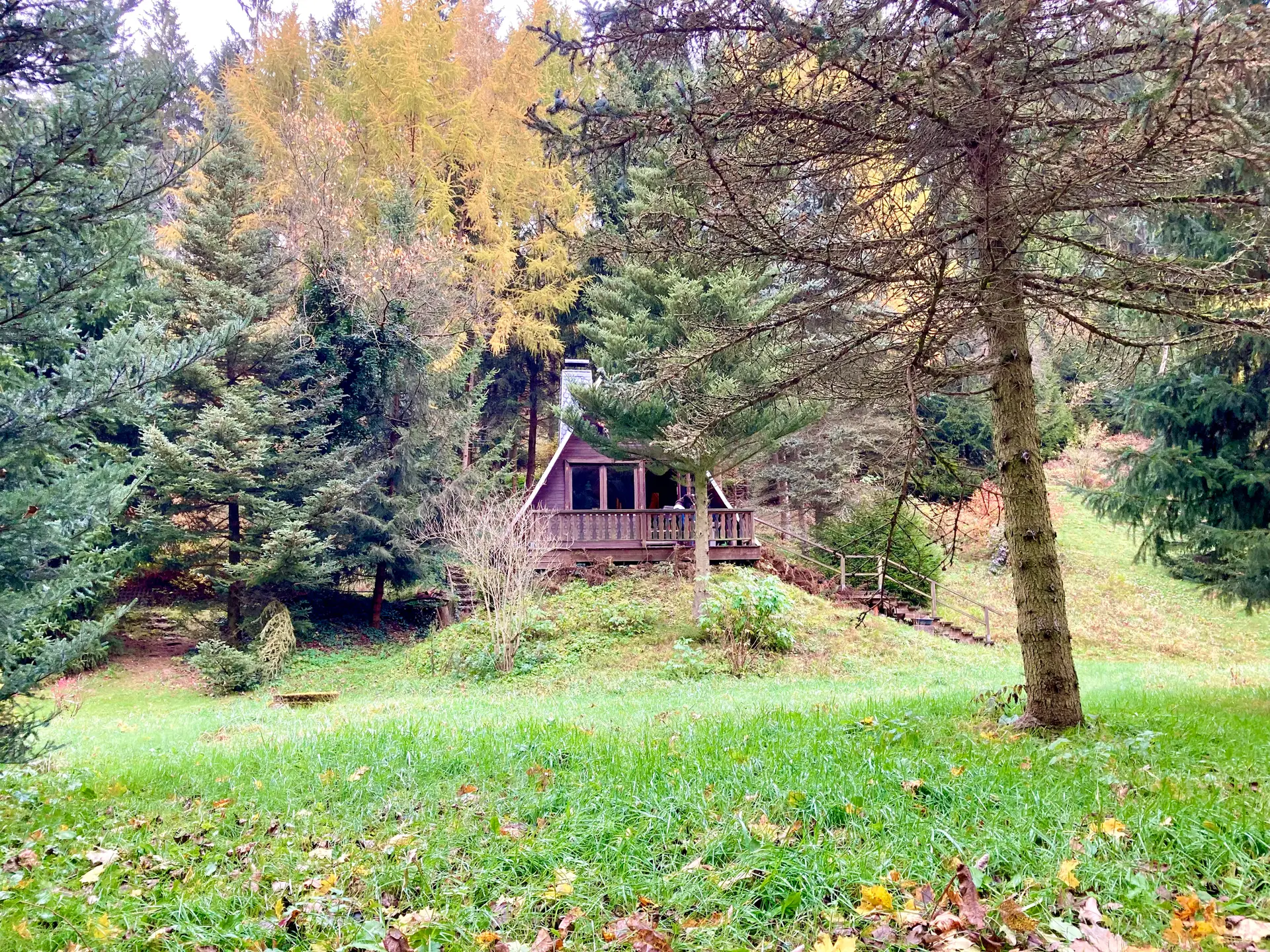 view from near the stream