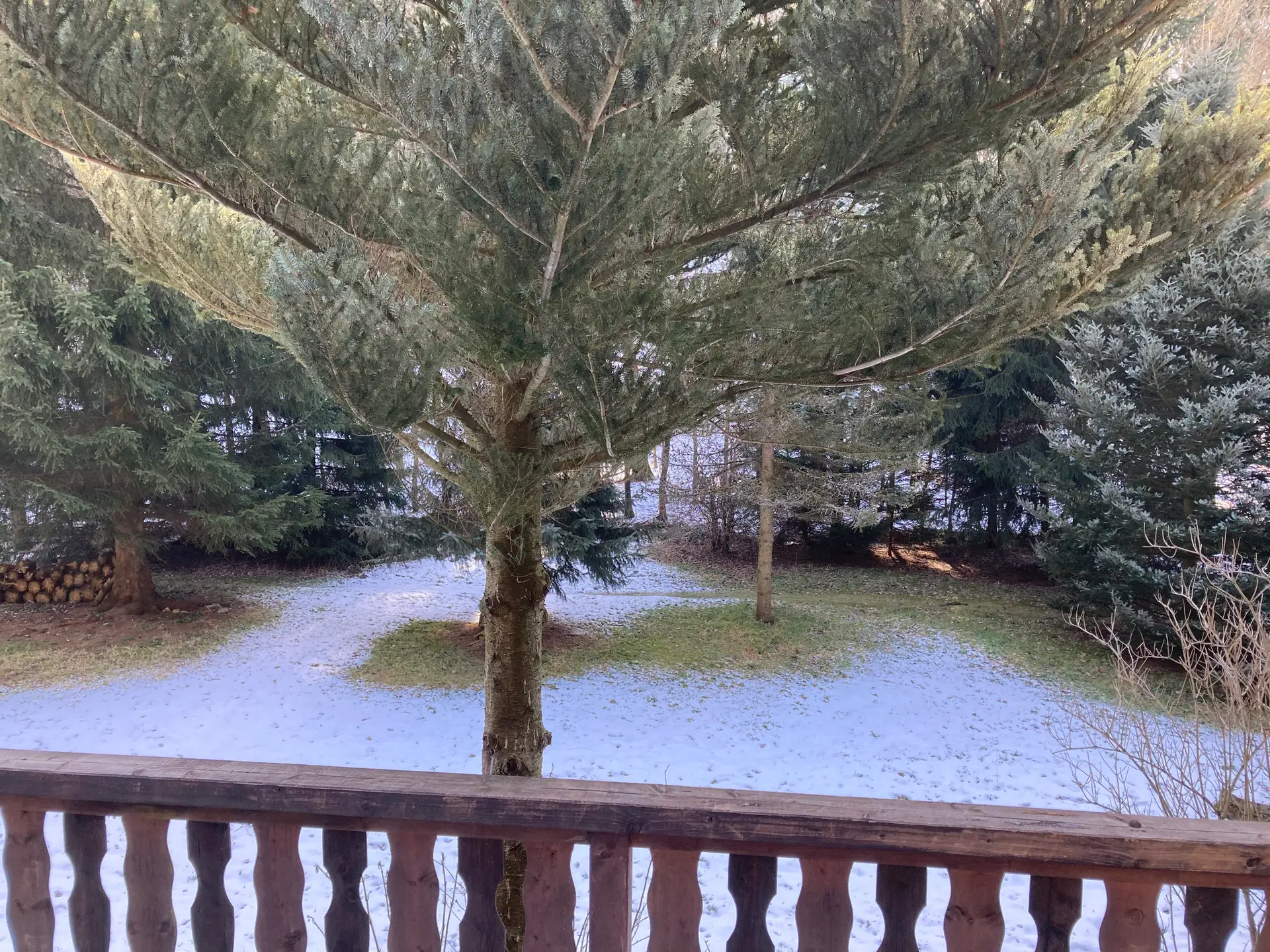 First bit of snow