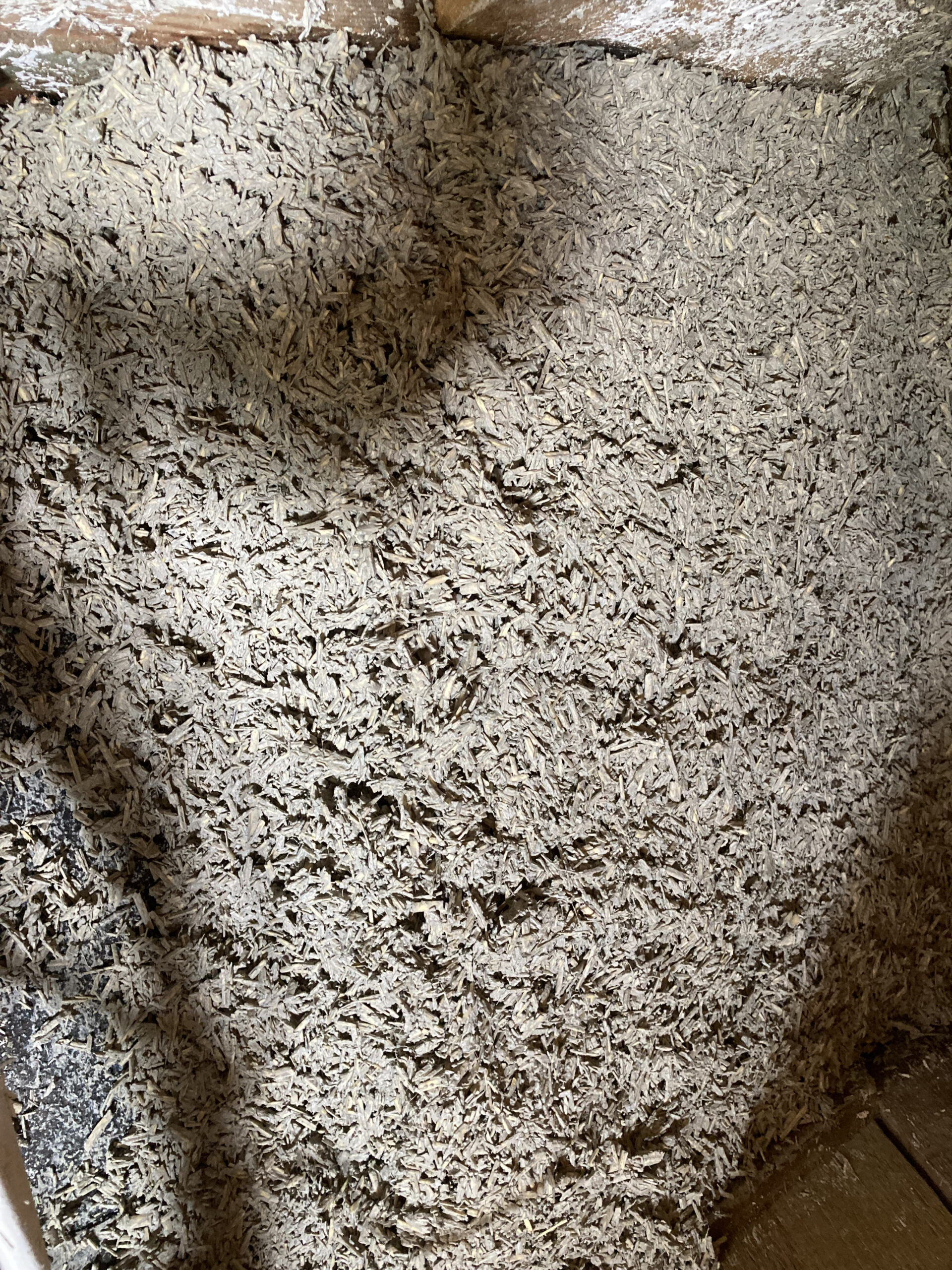 hemp close up