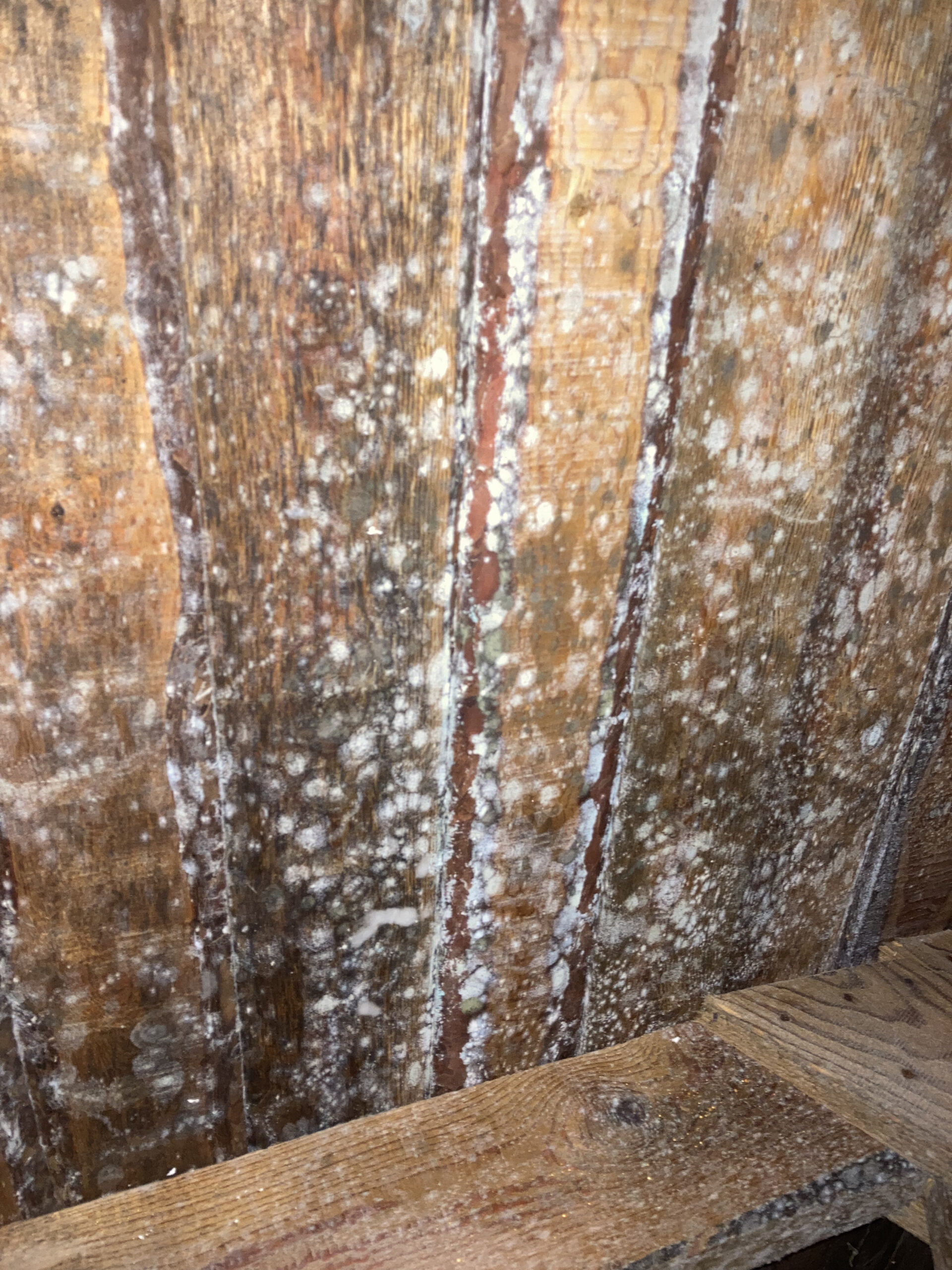 Wow it’s on the wood