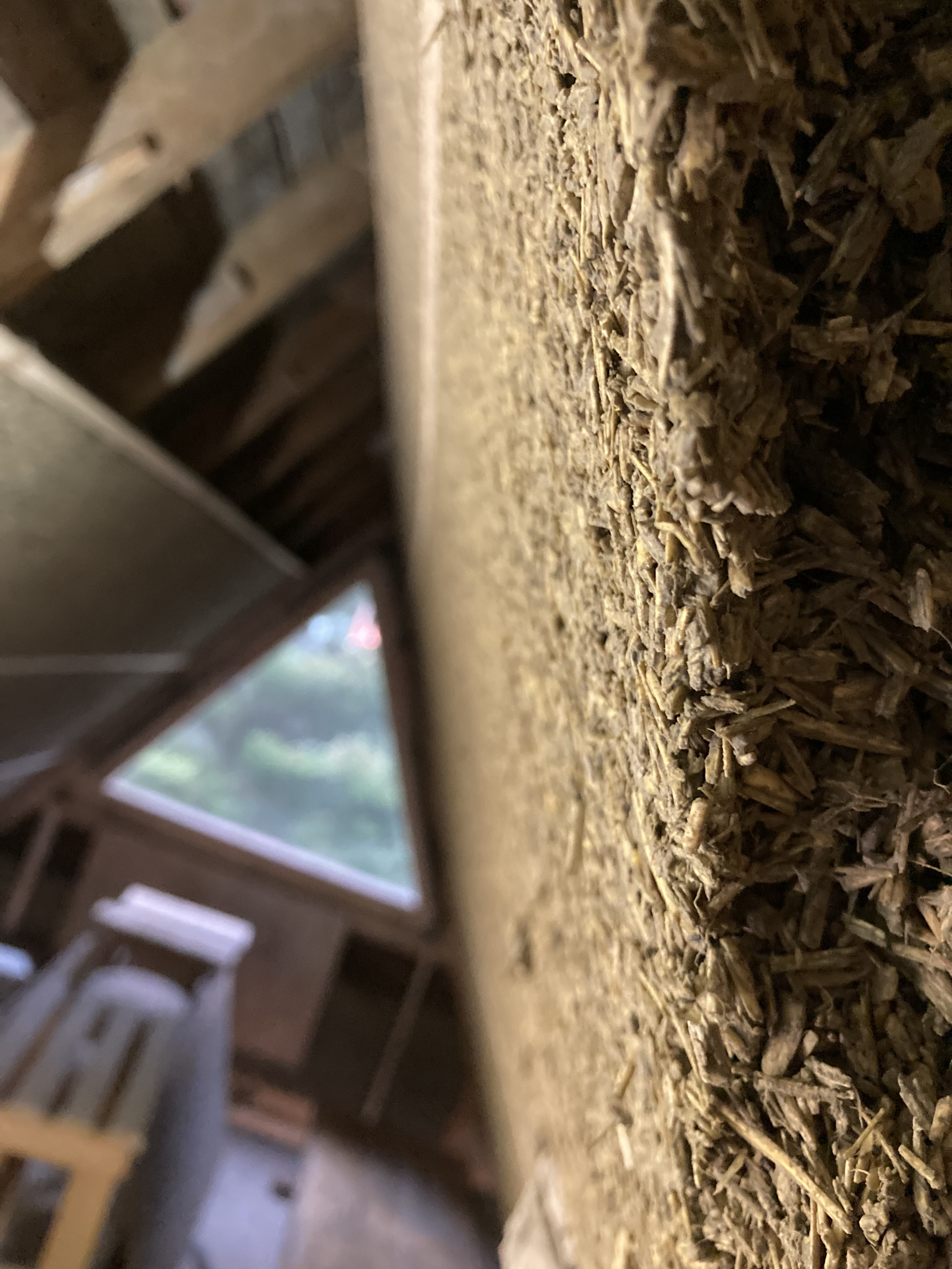 Close up hemp