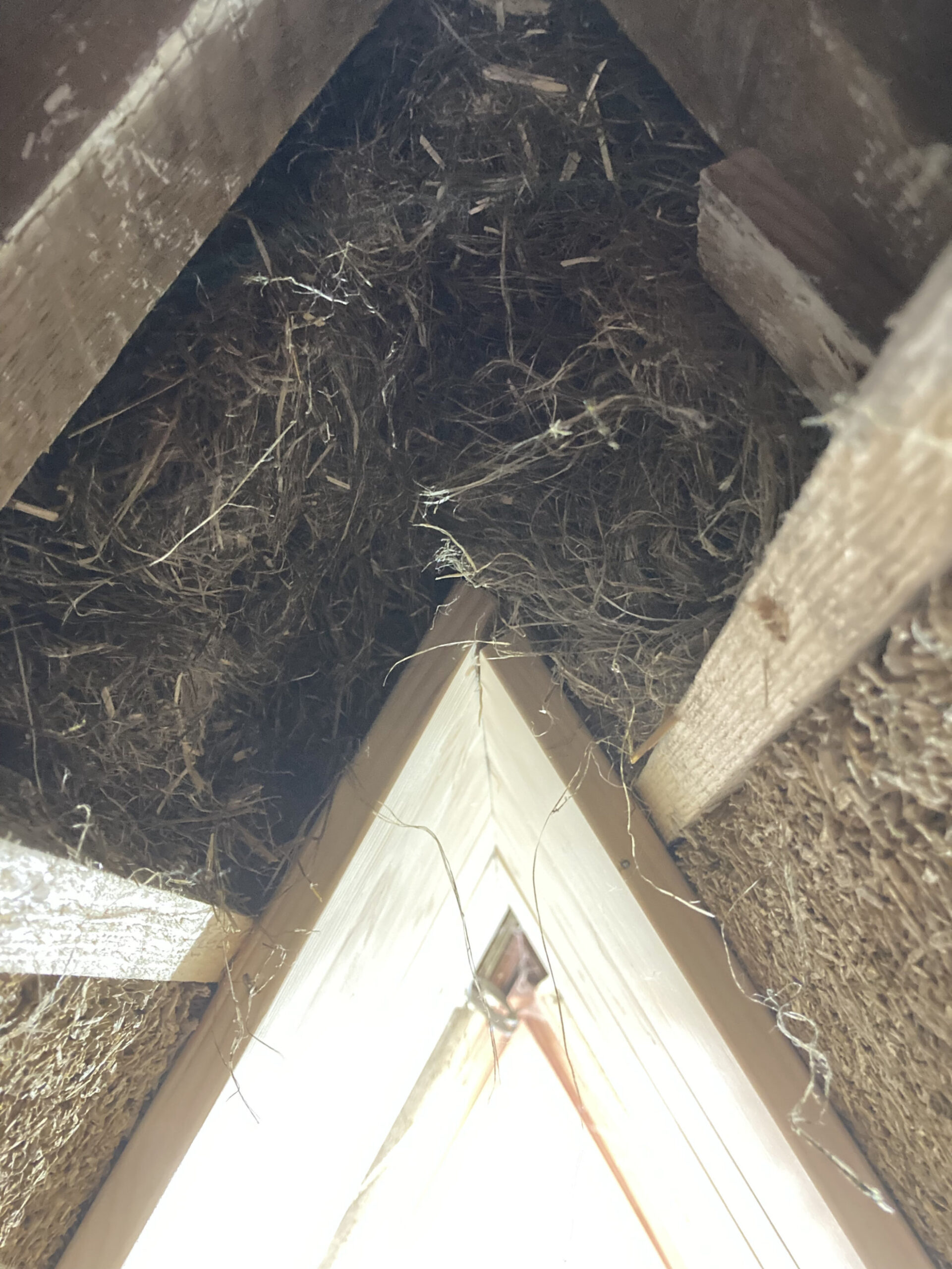 Decided to fill the last void with dry hemp fibre